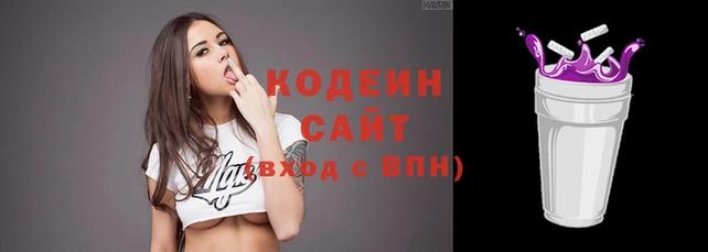 мдпв Дмитровск