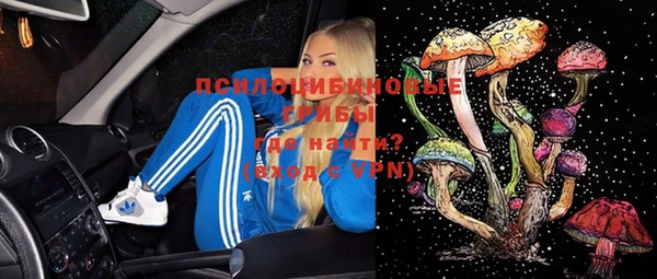 мдпв Дмитровск