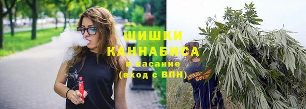 мдпв Дмитровск
