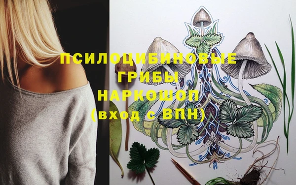 альфа пвп Дмитров