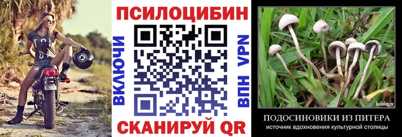 Псилоцибиновые грибы MAGIC MUSHROOMS  Купить закладки  Киренск 